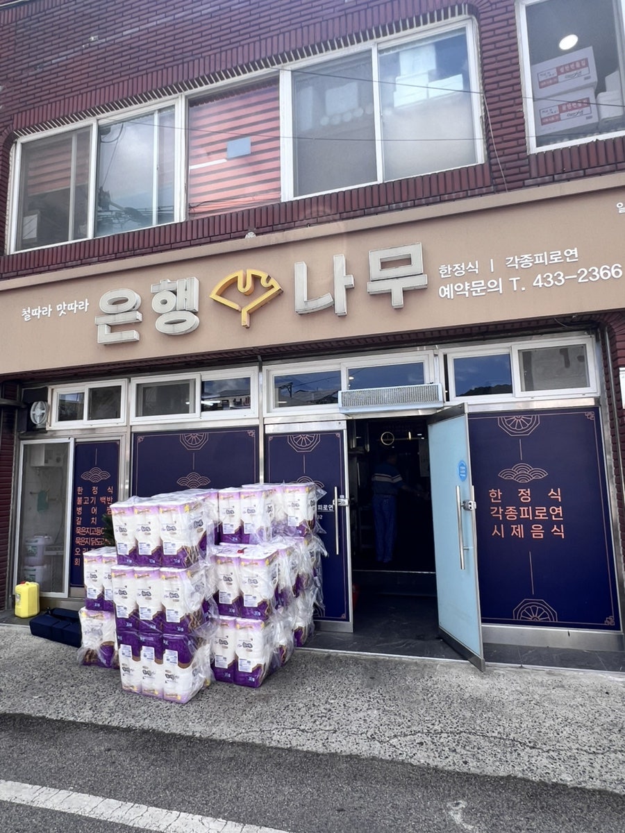 은행나무 사진 2
