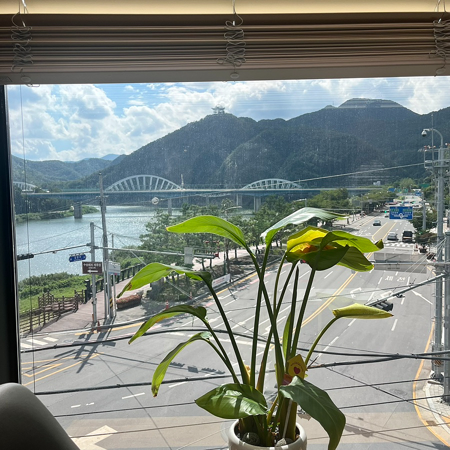 카페별숲 사진 6