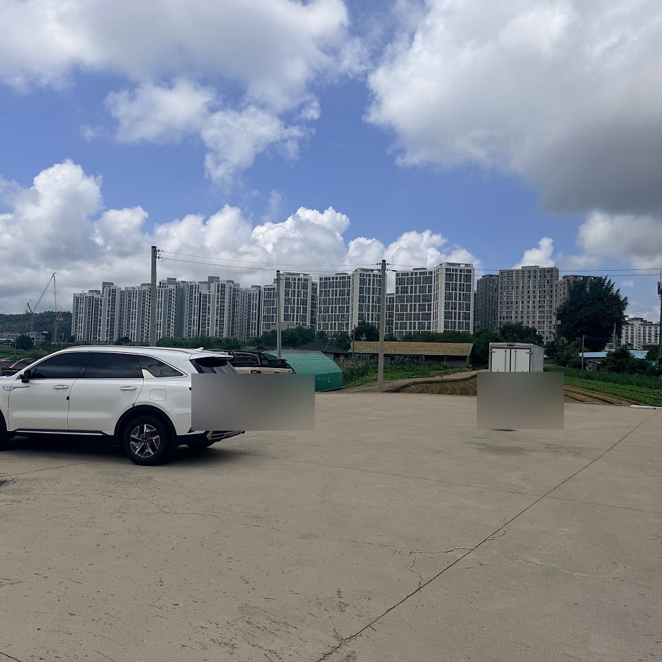 과일드림 사진 3