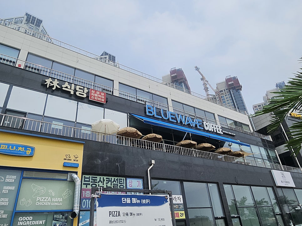 블루웨이브커피 시흥 거북섬점 사진 2