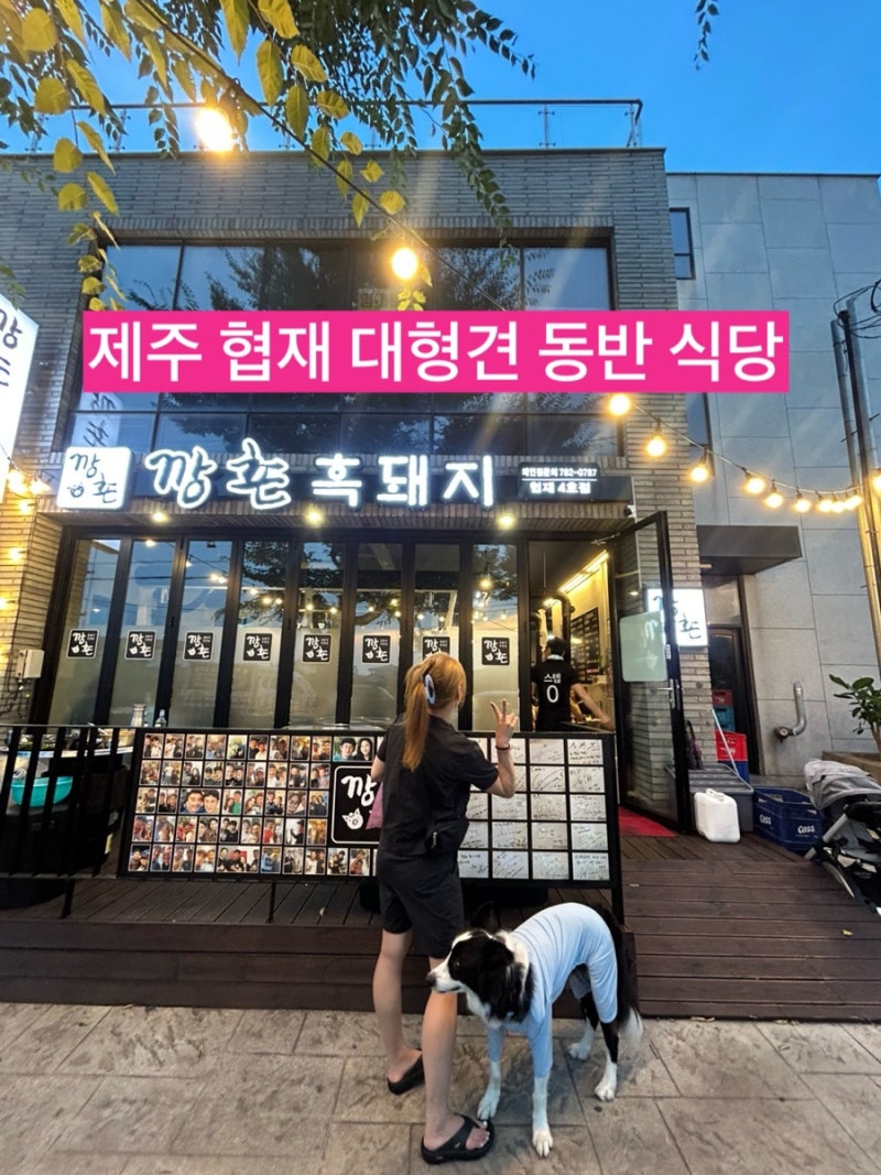 제주 협재 대형견 동반 식당 || 깡촌흑돼지