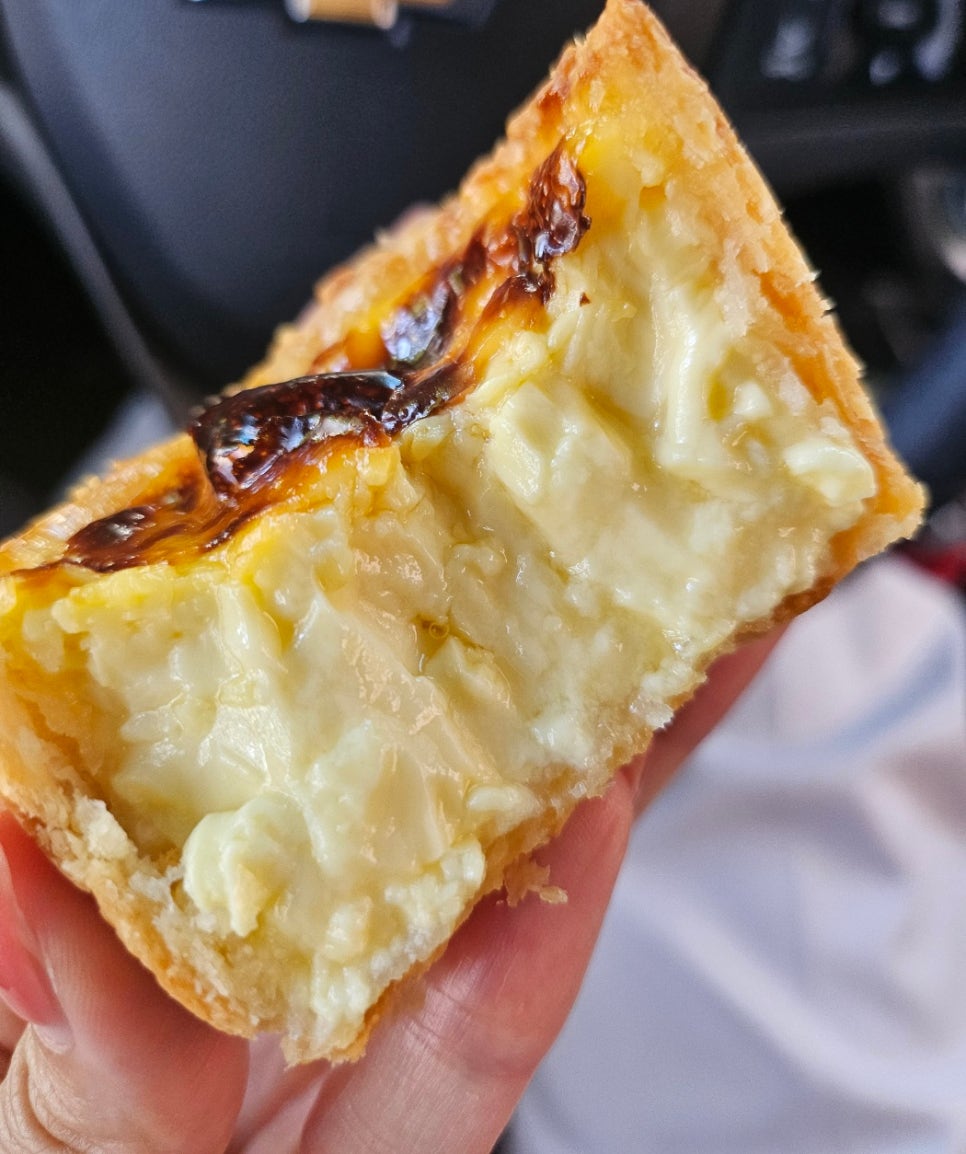인비토 사진 1