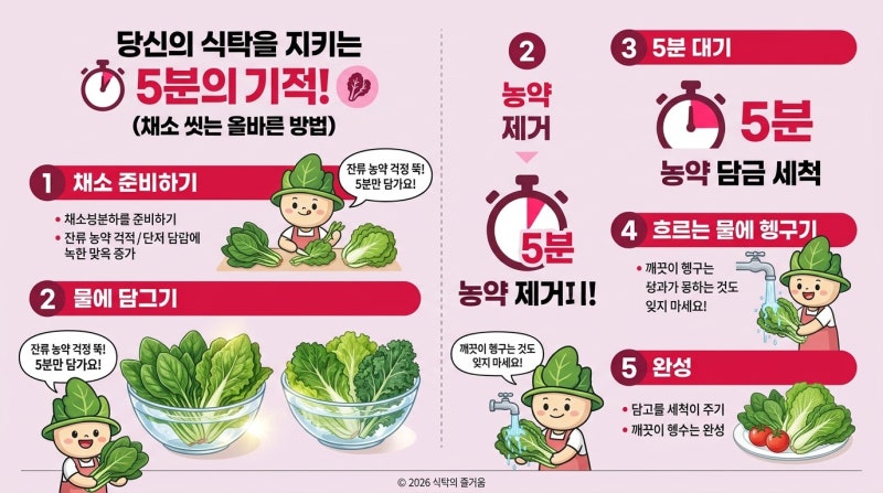 채소 씻는 올바른 방법, 잔류 농약 걱정 없이 깨끗하게 섭취하려면…