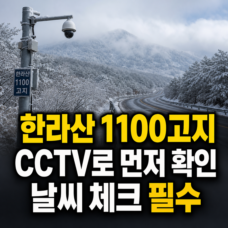 한라산1100고지 사진 1