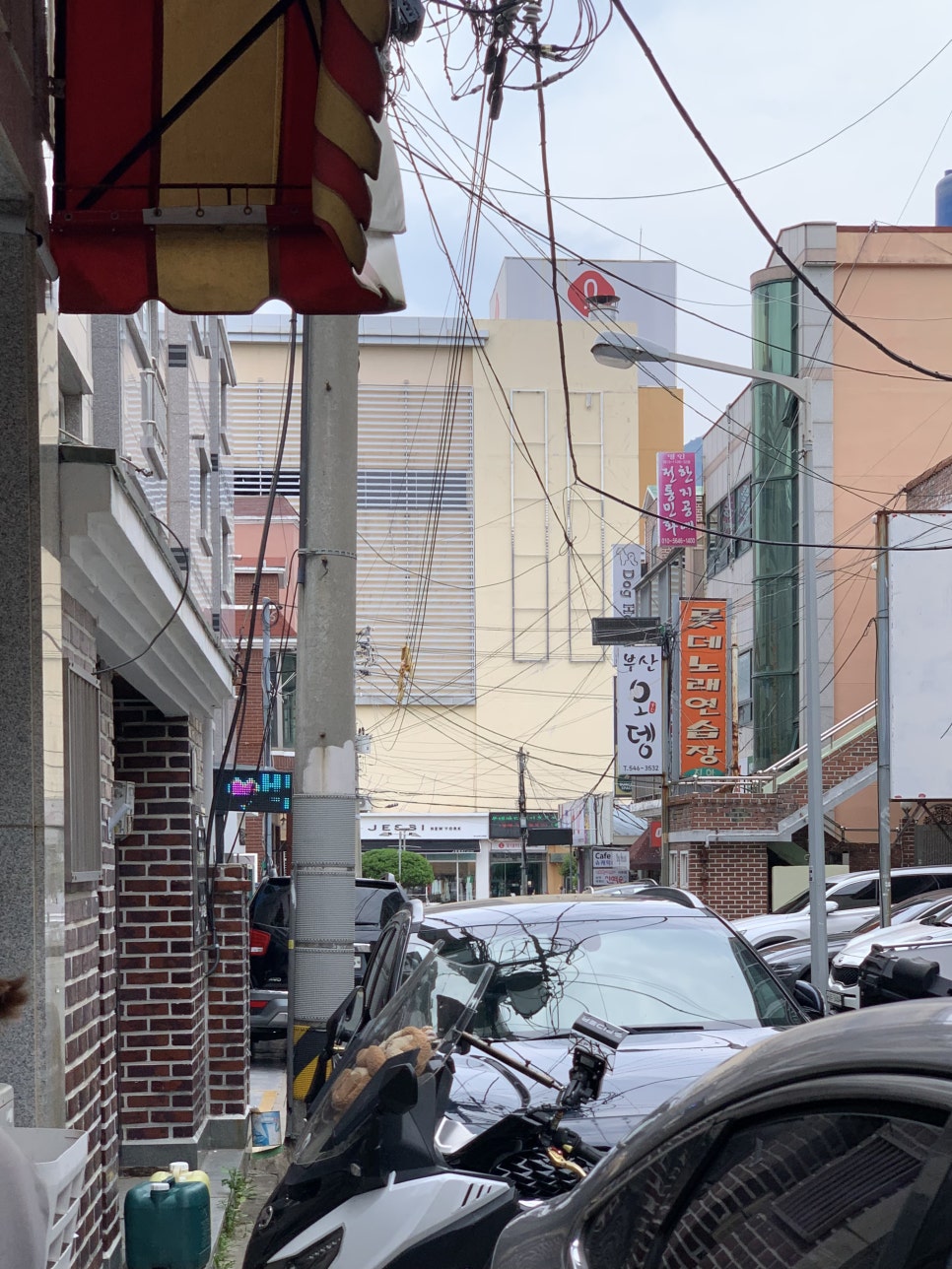 장미베이커리 동탄목동점 사진 2