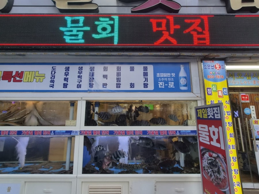 제일횟집 사진 2