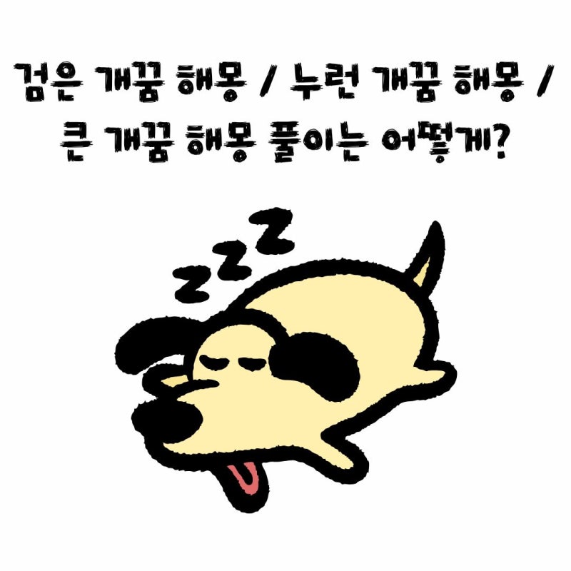검은 개꿈 해몽 / 누런 개꿈 해몽 / 큰 개꿈 해몽 풀이는 어떻게?