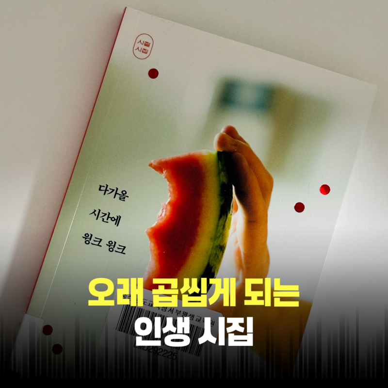 짧고 좋은 시 | 필사하기 좋은 시집 책 추천