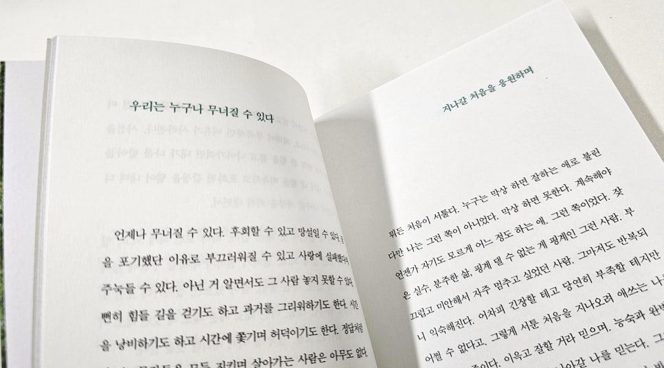 이래도 사진 5