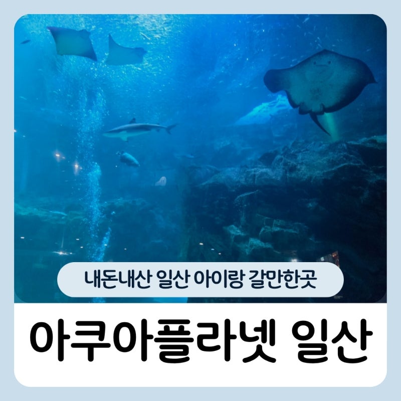 아쿠아플라넷 일산 할인 푸드코트 후기 아이랑 갈만한곳 추천