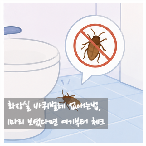 화장실 바퀴벌레 없애는법, 1마리 보였다면 여기부터 체크