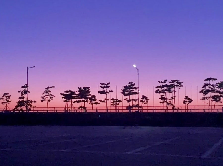 키카페 사진 2