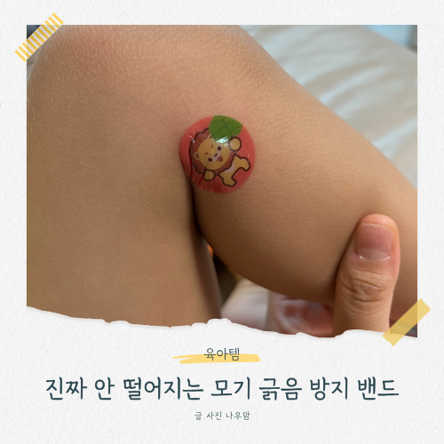 모기 물린 곳 긁음 방지 밴드 : 마데카밴드 내돈내산 찐 후기