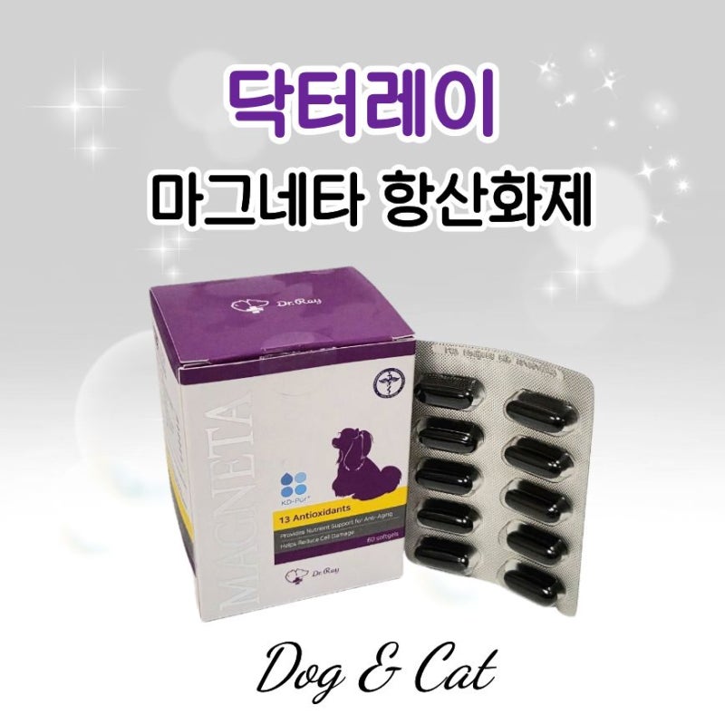 강아지 고양이 항산화제 ) 닥터레이 마그네타 내돈내산 마그네타 미니 차이점