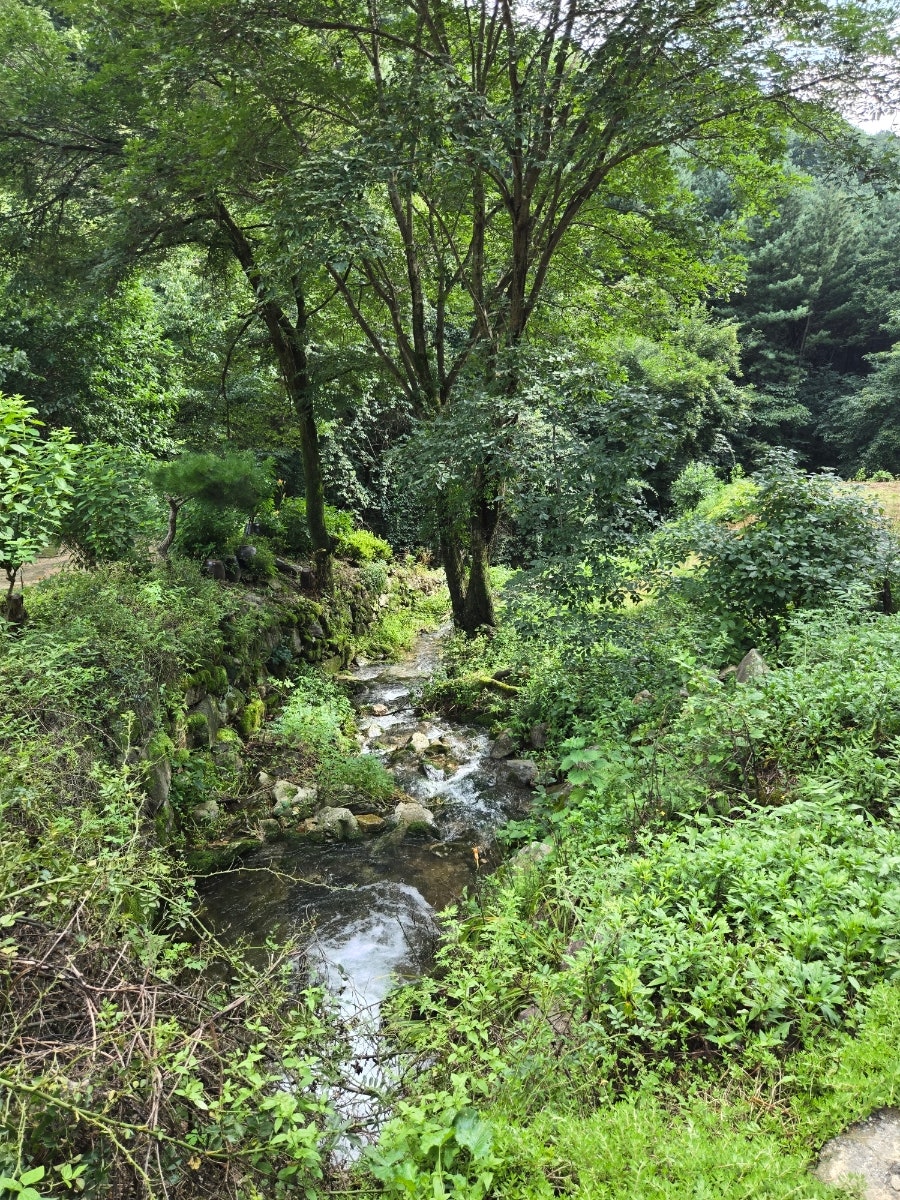 노트북펜션 사진 5