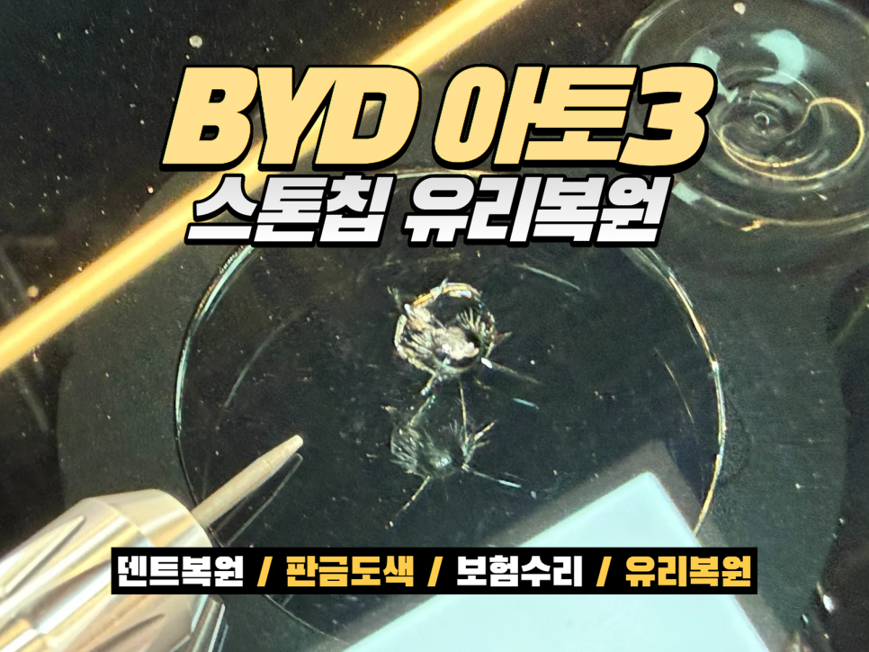 아토 사진 1