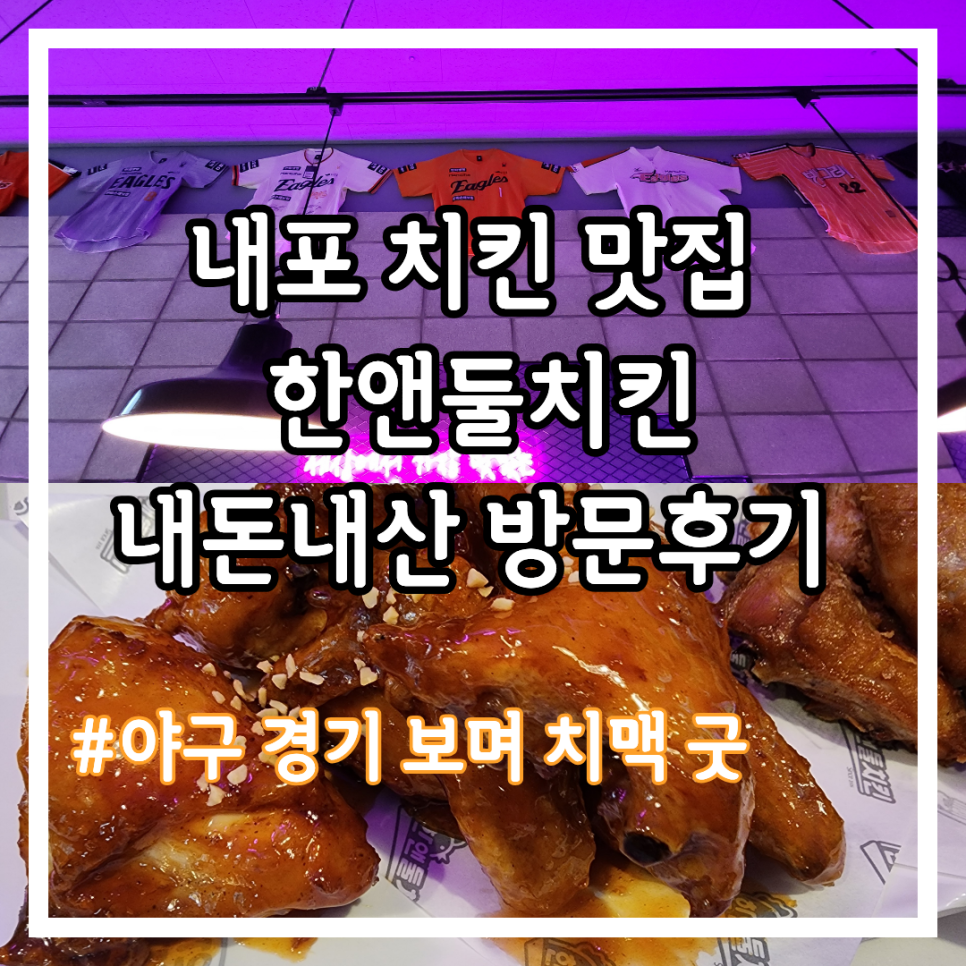 한앤둘치킨 내포신도시점 사진 1