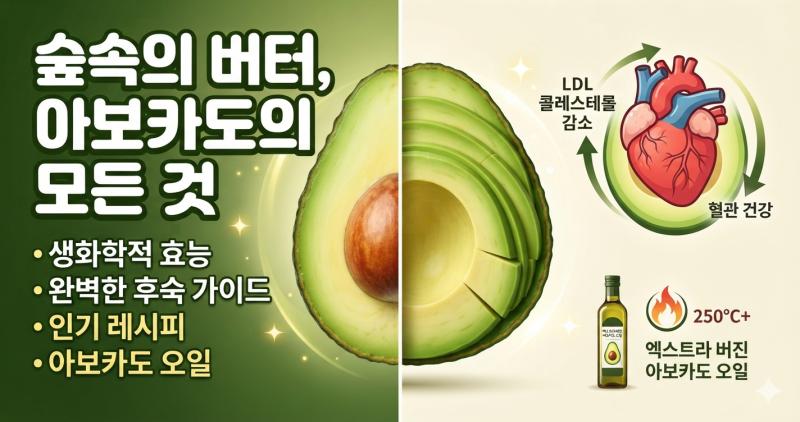 숲속의 버터, 아보카도의 모든 것: 생화학적 효능부터 완벽한 후숙·레시피·오일 가이드까지