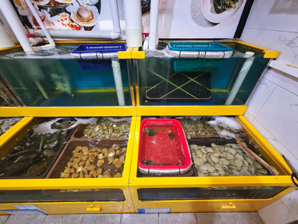 동해가리비 본점 사진 3