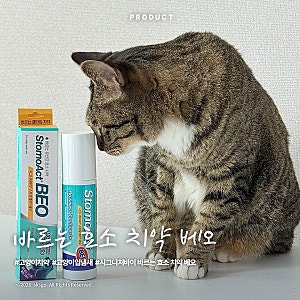 고양이입냄새 제거엔 시그니처바이 바르는 효소 치약 베오