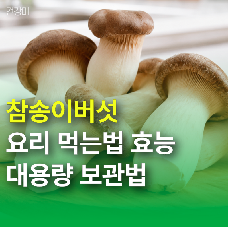 참송이버섯 요리 먹는법! 효능 실패 줄이는 1kg 대용량 보관법