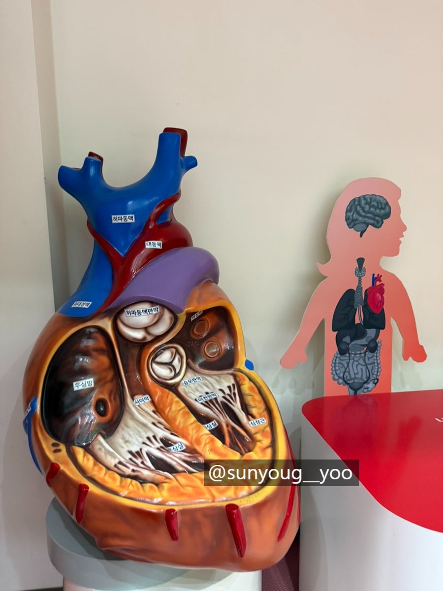 홍천생명건강과학관 사진 6