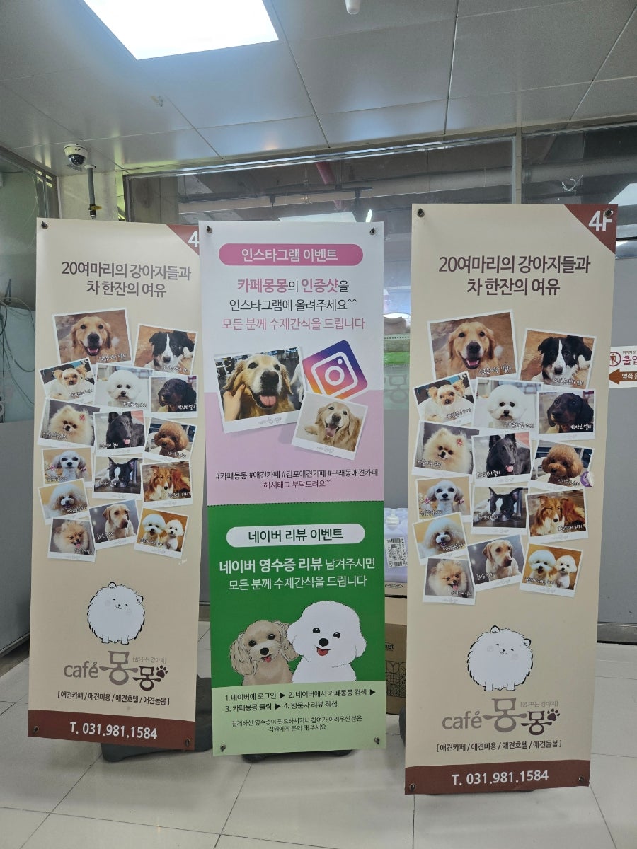 카페몽몽 사진 4