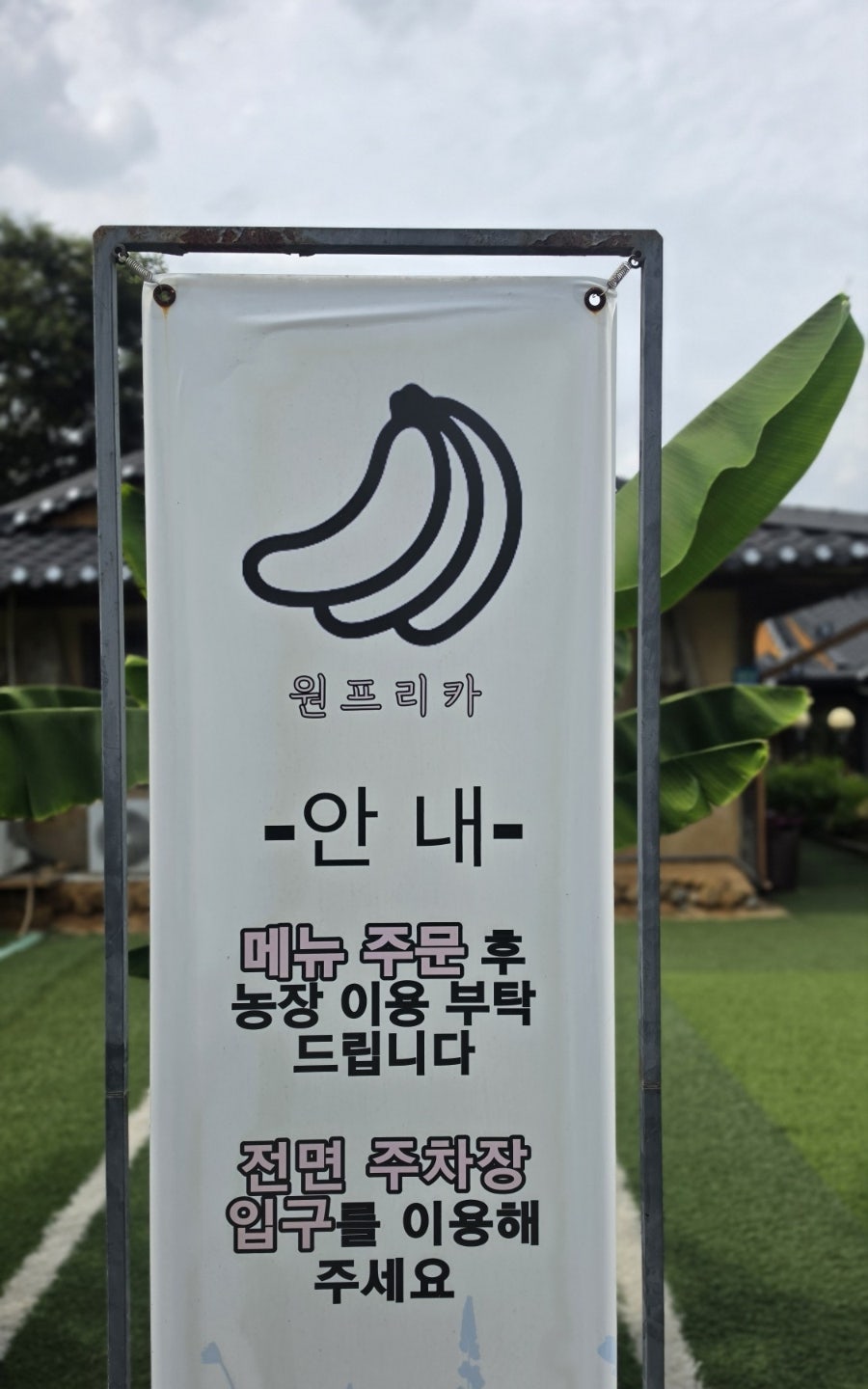 원프리카 사진 5