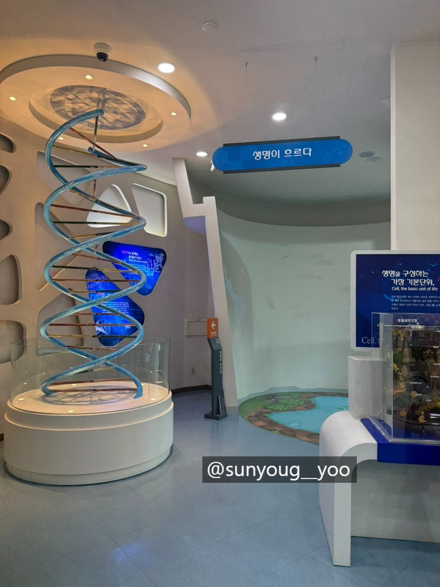 홍천생명건강과학관 사진 3