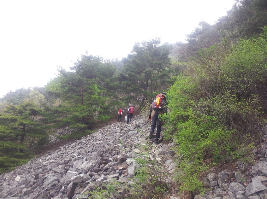 지남산 사진 5