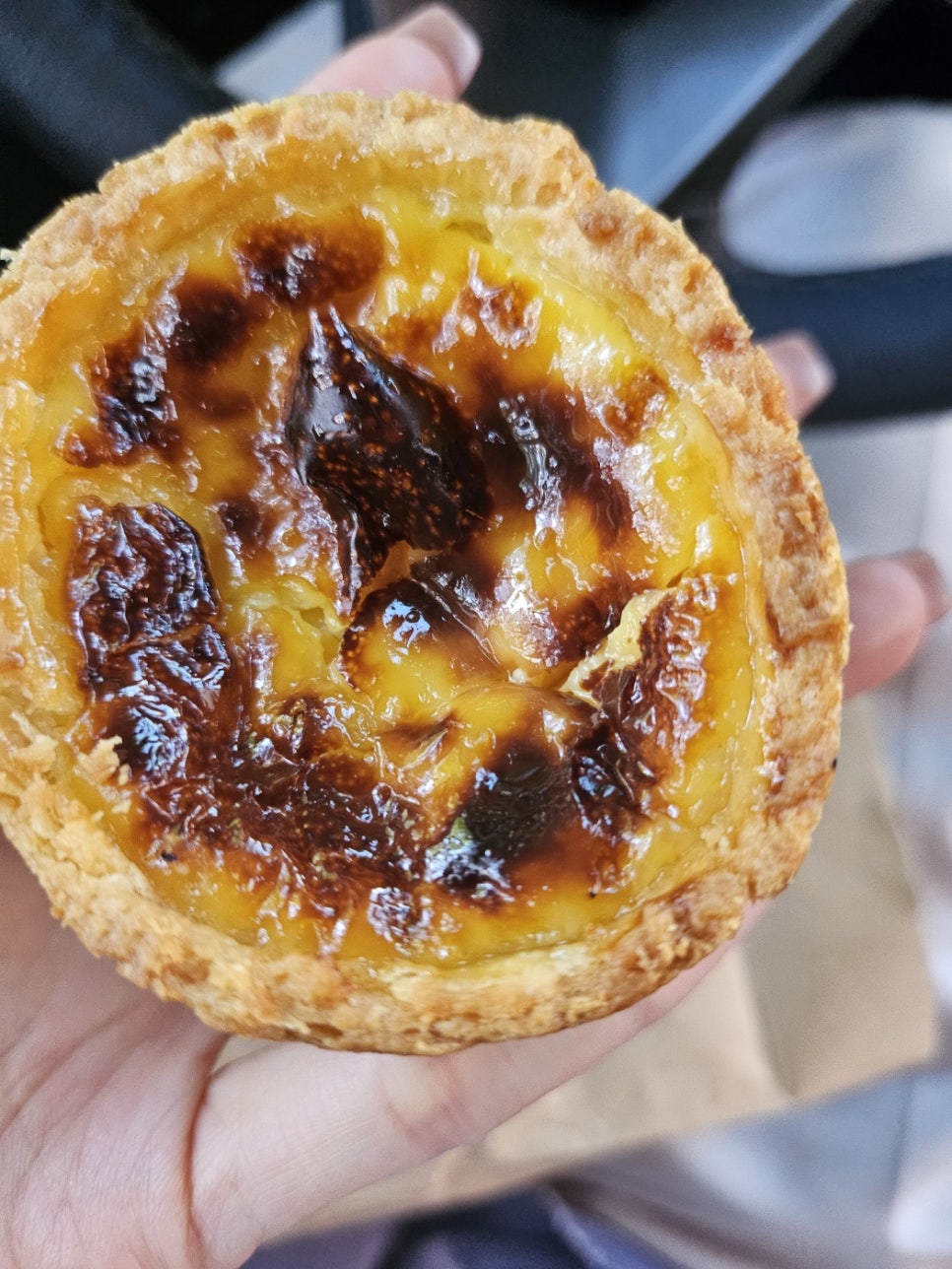 인비토 사진 5