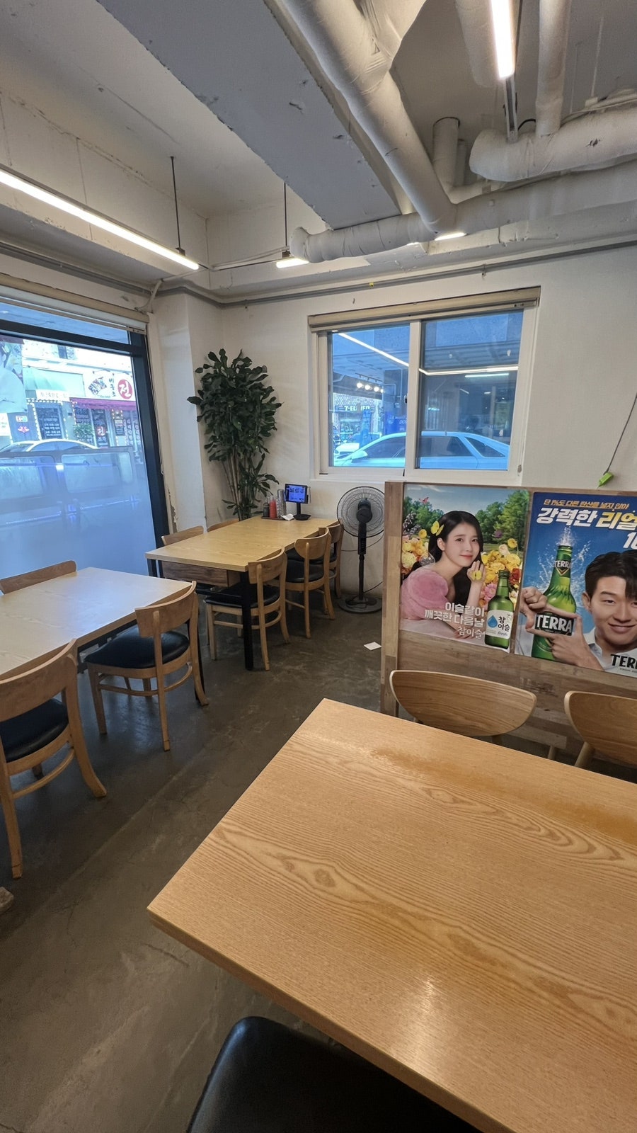 추도우럭 사진 3