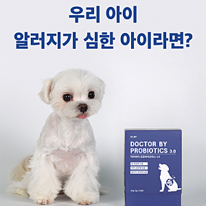 강아지 유산균 추천 닥터바이 프로바이오틱스로 든든한 장 건강 케어!