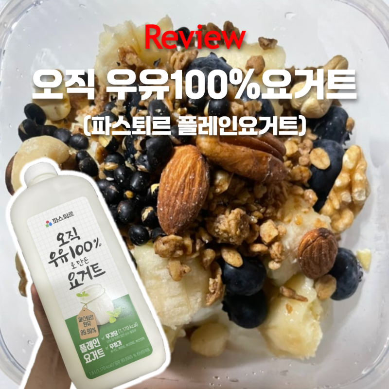 파스퇴르 오직 우유100% 요거트 &다이소 유청분리기로 그릭요거트 만들기