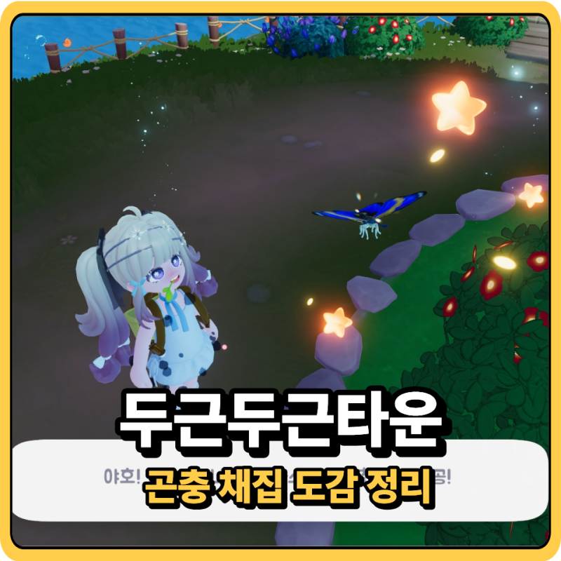 두근두근타운 곤충 채집 도감 레벨1~4 위치 날씨 시간대 총정리