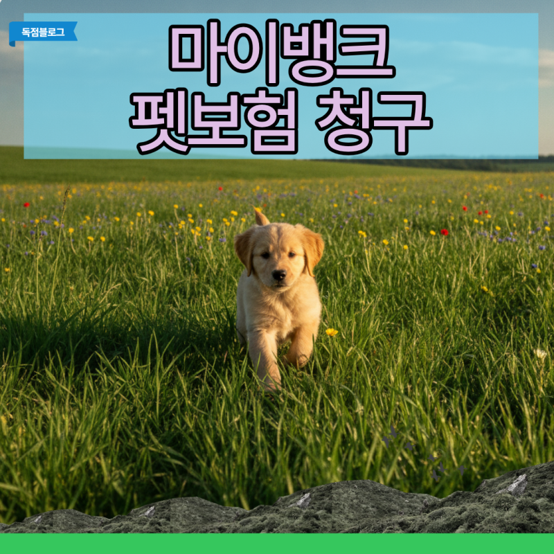 마이뱅크 펫보험 청구, 서류 재발급 없이 이메일로 3일 만에 환급받는 법