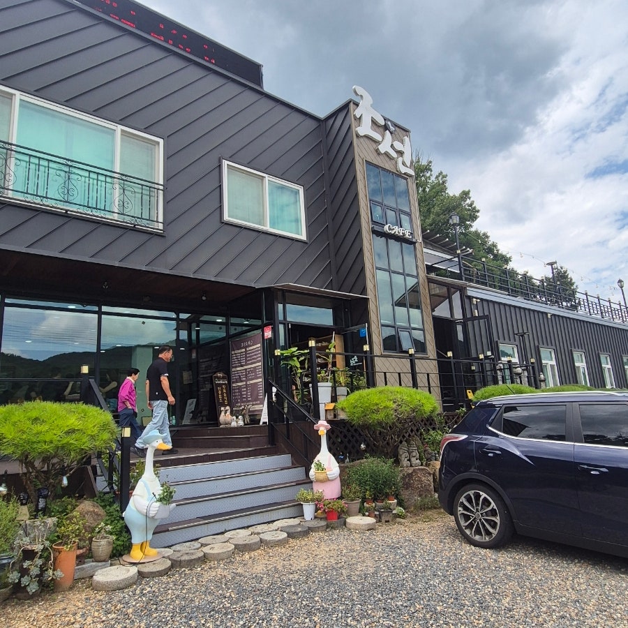 조선오리 사진 4