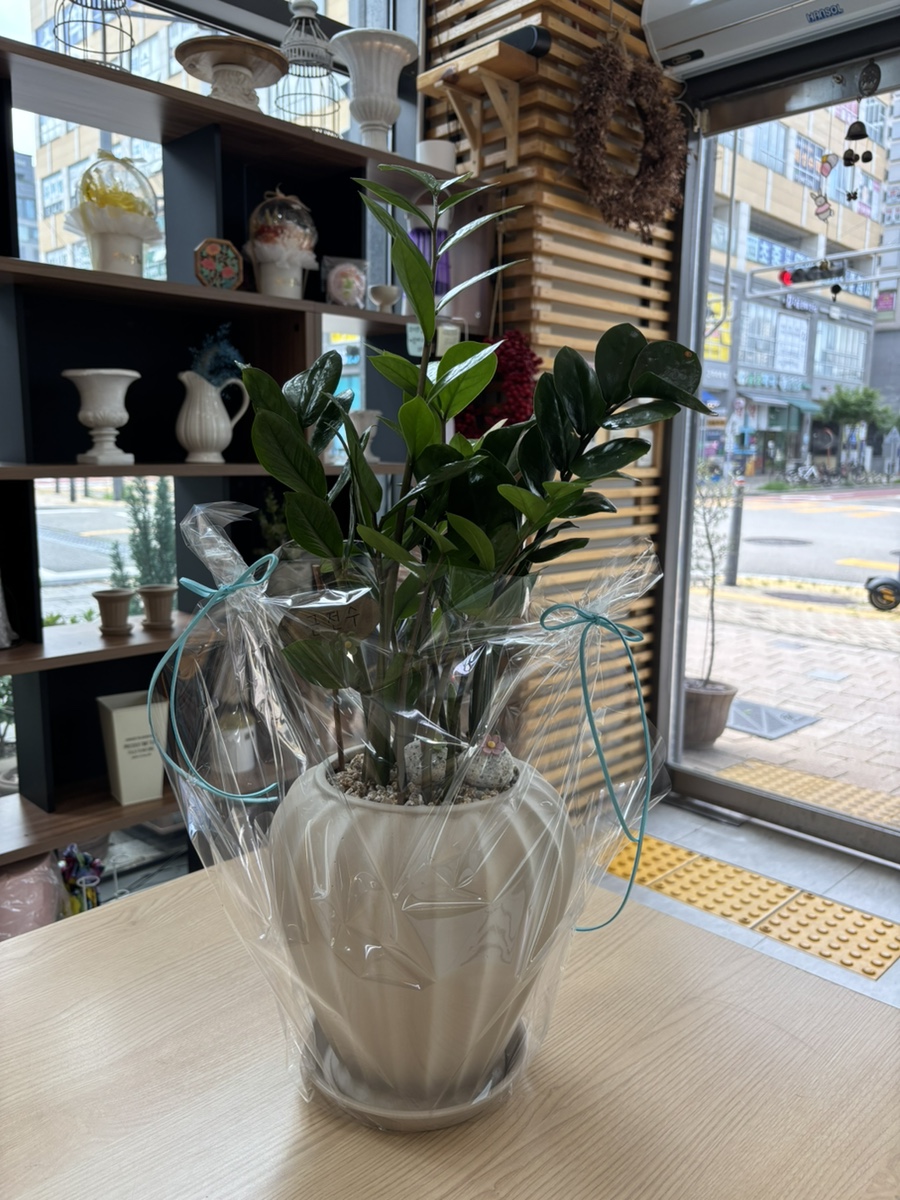 꽃담 사진 4