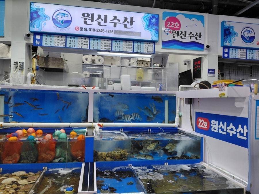 정라항활어회센터 사진 1