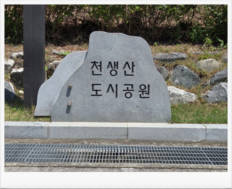 천생산(☞592, 408m)