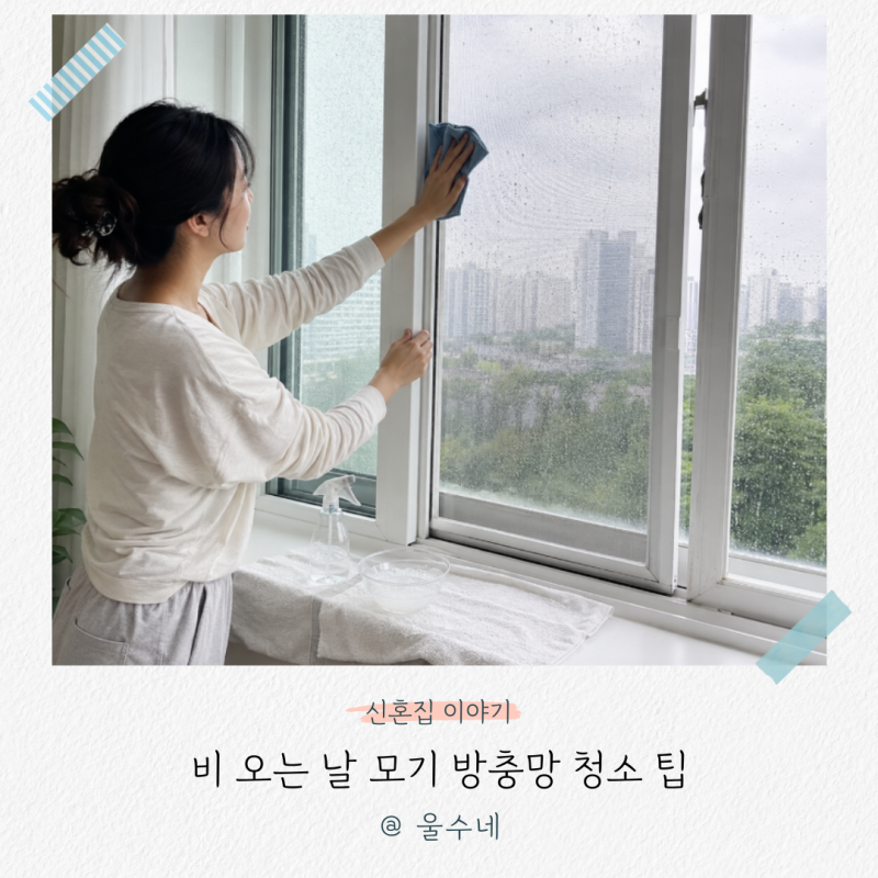 비 오는 날 모기 방충망 청소, 창틀까지 깨끗하게 닦는 방법