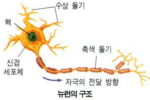 구안와사 후유증 남기지 않으려면?급성기 대처가 가장 중요합니다