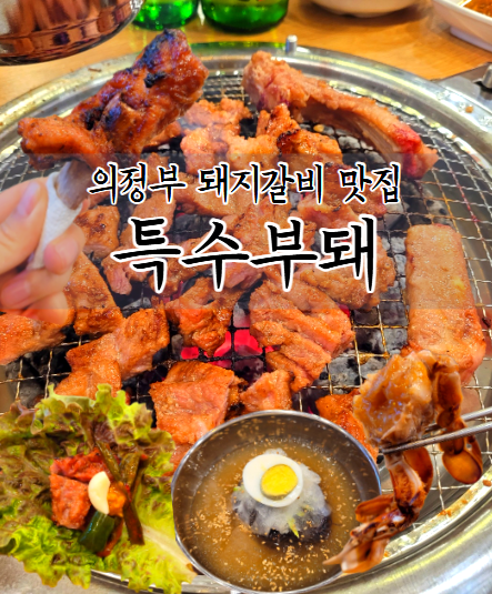 특수부돼 사진 1
