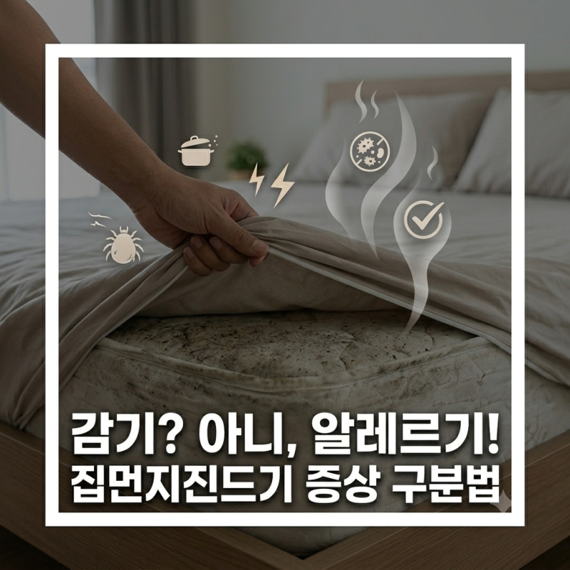 집먼지 진드기 알레르기vs감기, 증상으로 구분하는법(지속기간이 핵심)