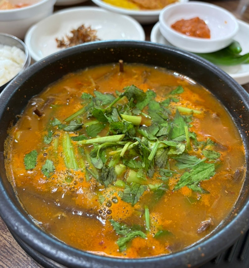 제주 김녕 아침식사 맛집ㅣ대복해장국 고사리육개장 완뚝한 후기