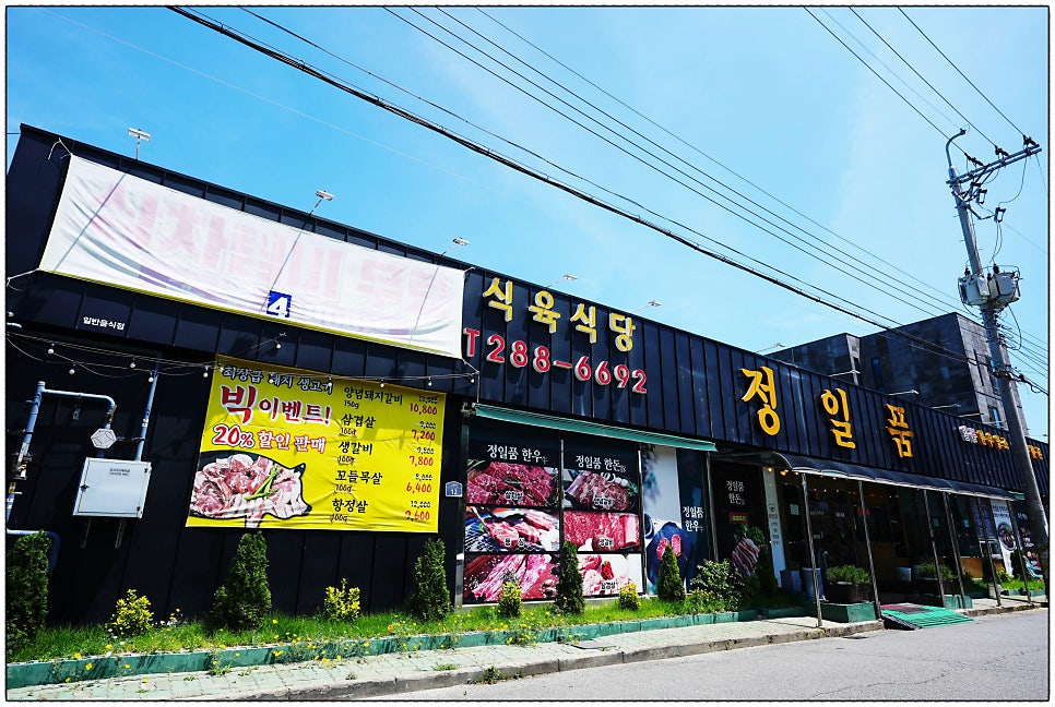 정일품 사진 2