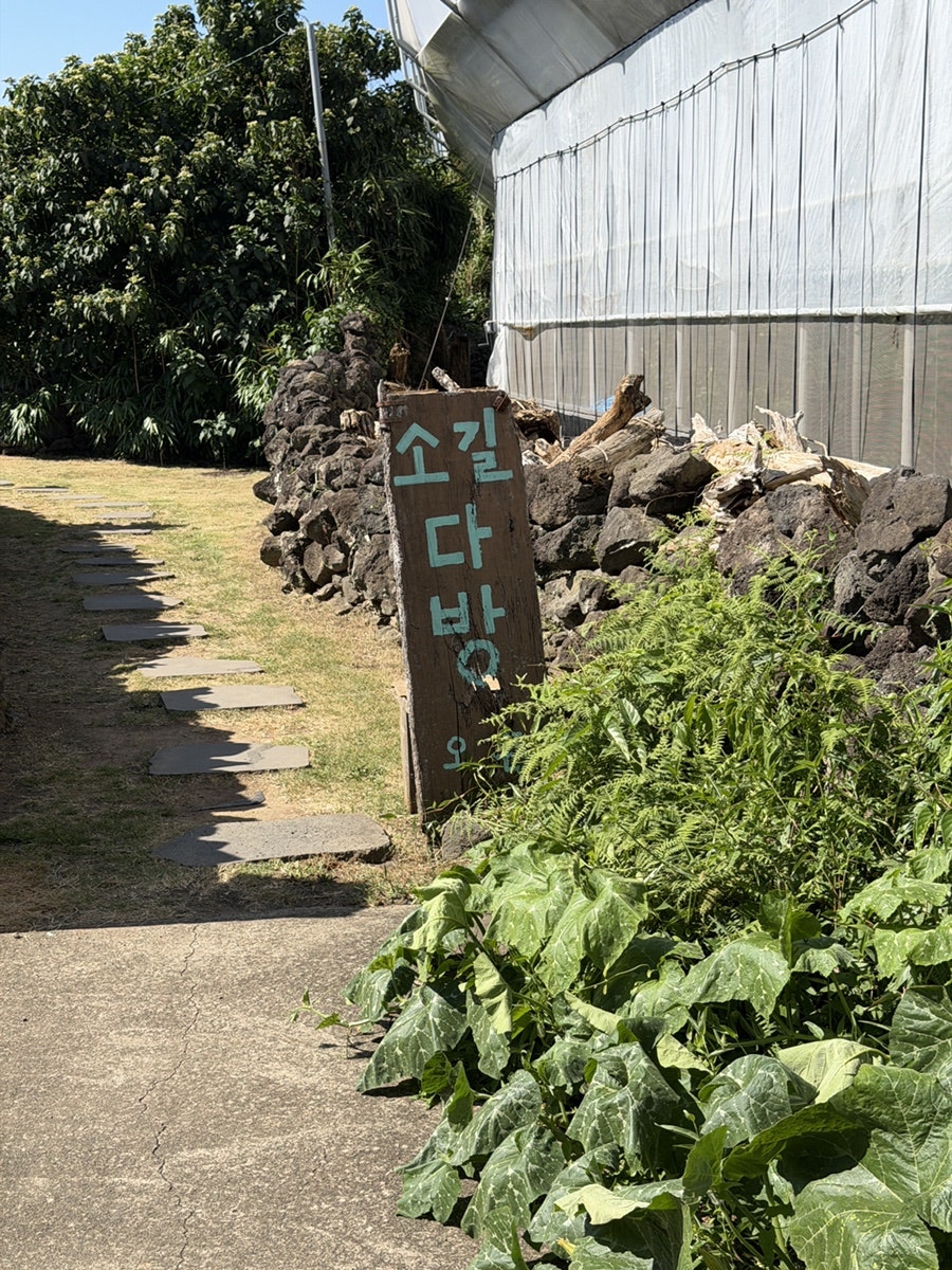 소길다방 사진 2
