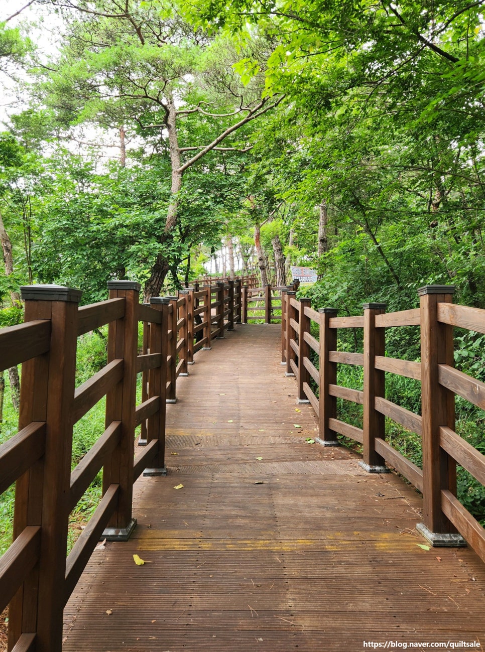 서강 사진 3