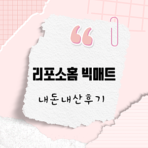 [내돈내산] 리포소홈 빅매트 / 안심 폴더매트 / 유아용매트 / 실사용 후기 / 240*200 사이즈 후기