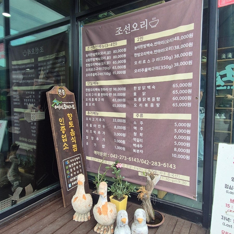 조선오리 사진 5